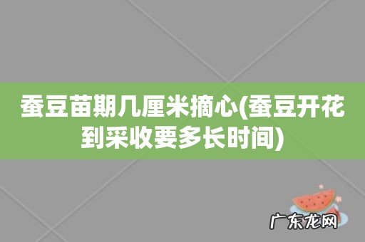蚕豆开花到采收要多长时间 蚕豆苗期几厘米摘心