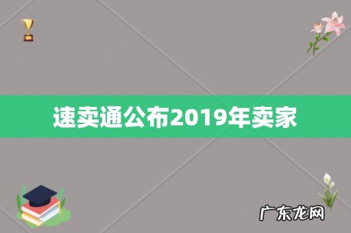 速卖通公布2019年卖家