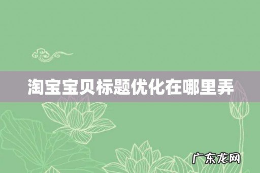 淘宝宝贝标题优化在哪里弄