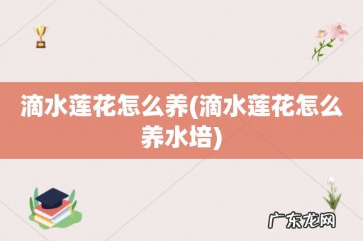 滴水莲花怎么养水培 滴水莲花怎么养