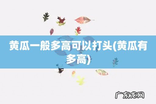 黄瓜有多高 黄瓜一般多高可以打头