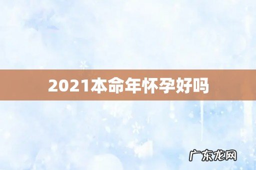 2021本命年怀孕好吗