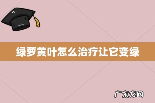 绿萝黄叶怎么治疗让它变绿