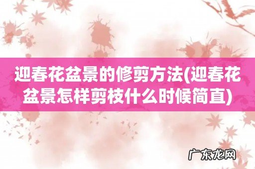 迎春花盆景怎样剪枝什么时候简直 迎春花盆景的修剪方法