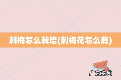 刺梅花怎么栽 刺梅怎么栽培