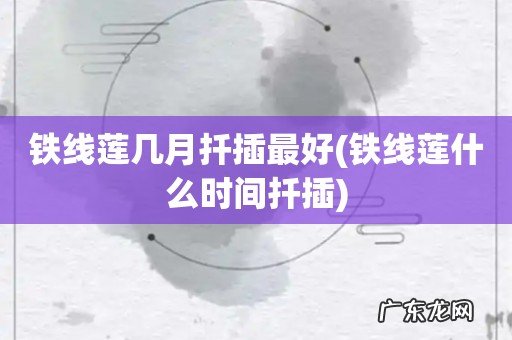 铁线莲什么时间扦插 铁线莲几月扦插最好