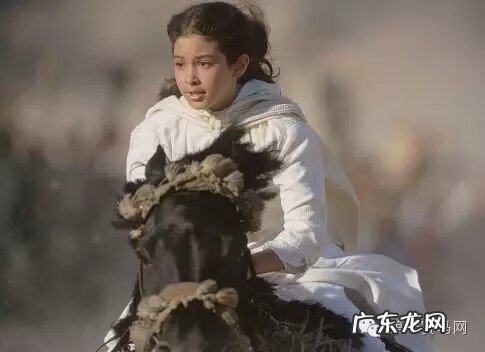 小黑马完整版在线观看 黑神驹前传1