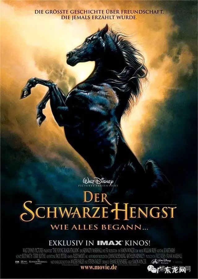 小黑马完整版在线观看 黑神驹前传1