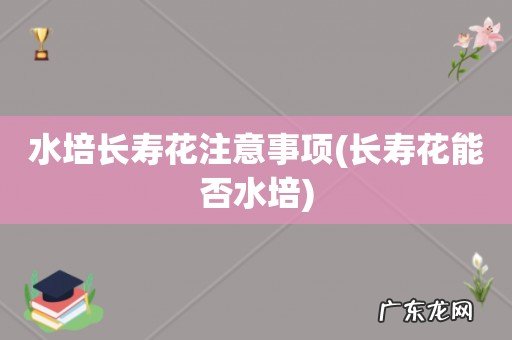 长寿花能否水培 水培长寿花注意事项