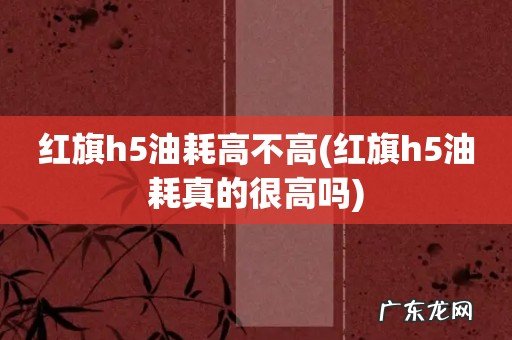 红旗h5油耗真的很高吗 红旗h5油耗高不高