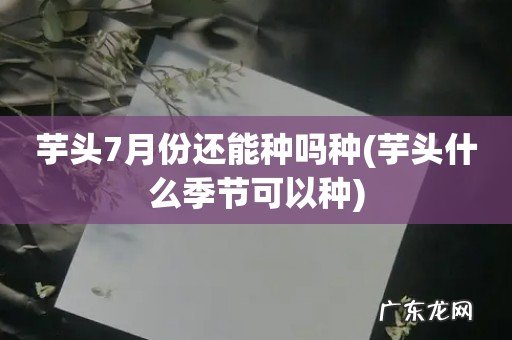 芋头什么季节可以种 芋头7月份还能种吗种