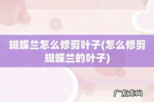 怎么修剪蝴蝶兰的叶子 蝴蝶兰怎么修剪叶子