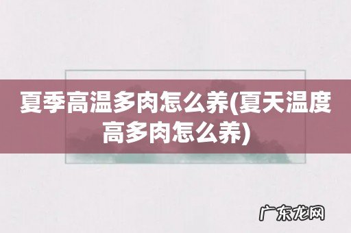 夏天温度高多肉怎么养 夏季高温多肉怎么养