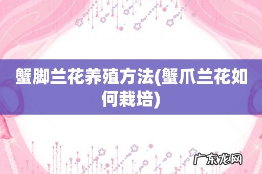蟹爪兰花如何栽培 蟹脚兰花养殖方法