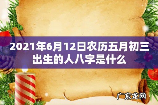 2021年6月12日农历五月初三出生的人八字是什么