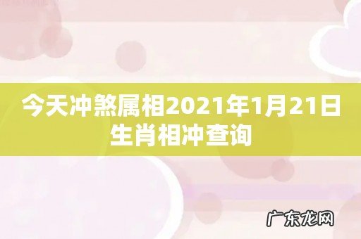 今天冲煞属相2021年1月21日生肖相冲查询