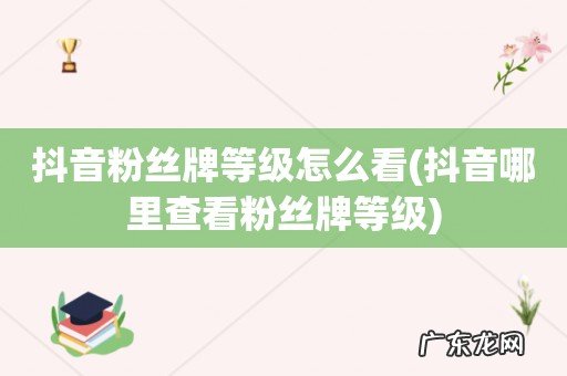 抖音哪里查看粉丝牌等级 抖音粉丝牌等级怎么看