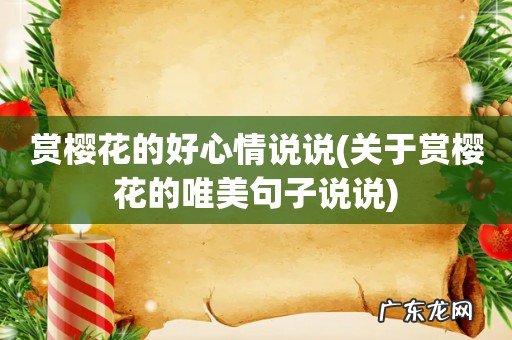 关于赏樱花的唯美句子说说 赏樱花的好心情说说