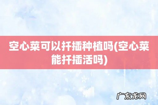 空心菜能扦插活吗 空心菜可以扦插种植吗