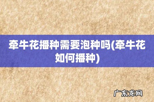 牵牛花如何播种 牵牛花播种需要泡种吗