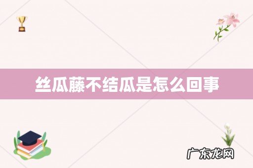 丝瓜藤不结瓜是怎么回事