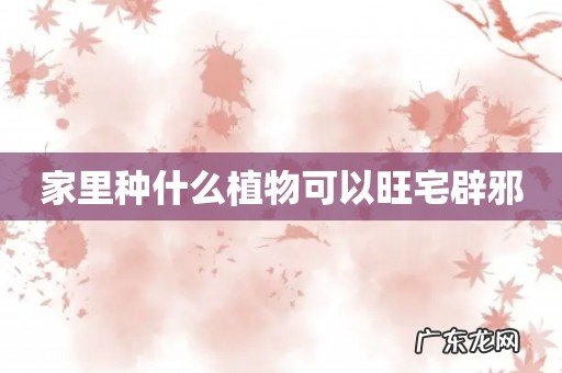 家里种什么植物可以旺宅辟邪