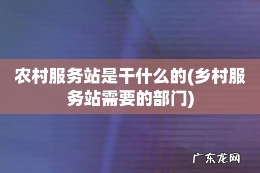 乡村服务站需要的部门 农村服务站是干什么的