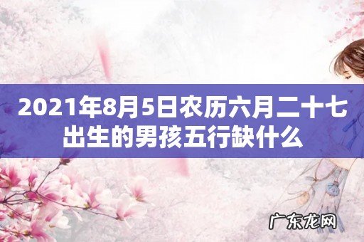 2021年8月5日农历六月二十七出生的男孩五行缺什么