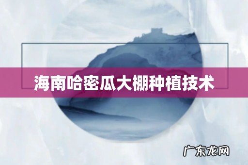 海南哈密瓜大棚种植技术