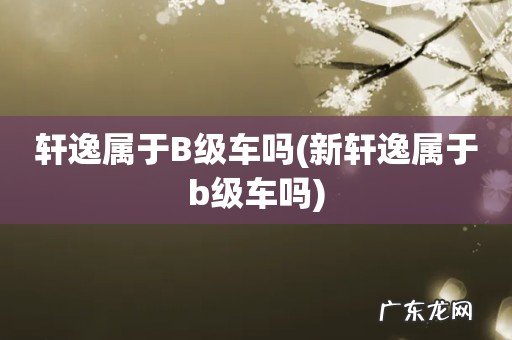 新轩逸属于b级车吗 轩逸属于B级车吗