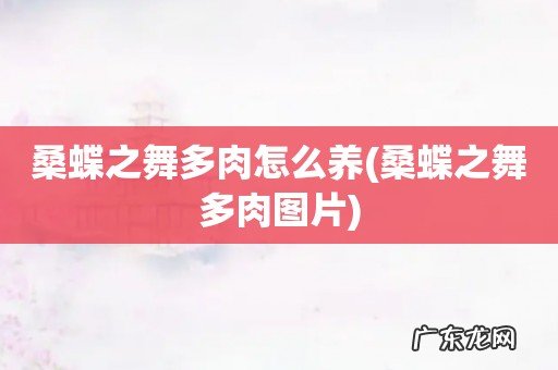 桑蝶之舞多肉图片 桑蝶之舞多肉怎么养