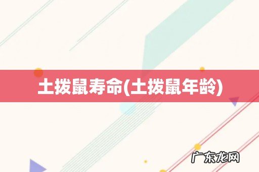 土拨鼠年龄 土拨鼠寿命