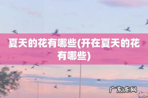 开在夏天的花有哪些 夏天的花有哪些