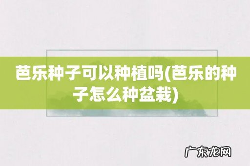 芭乐的种子怎么种盆栽 芭乐种子可以种植吗