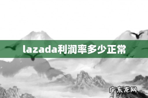 lazada利润率多少正常