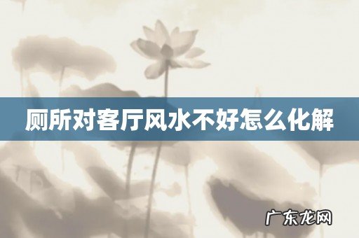 厕所对客厅风水不好怎么化解