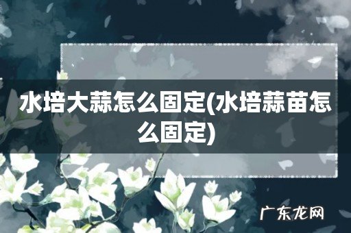 水培蒜苗怎么固定 水培大蒜怎么固定