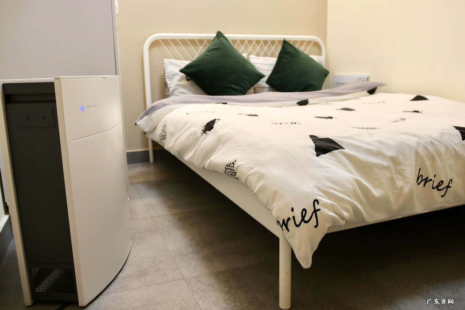 怎样祛除甲醛 如何除甲醛效果最好