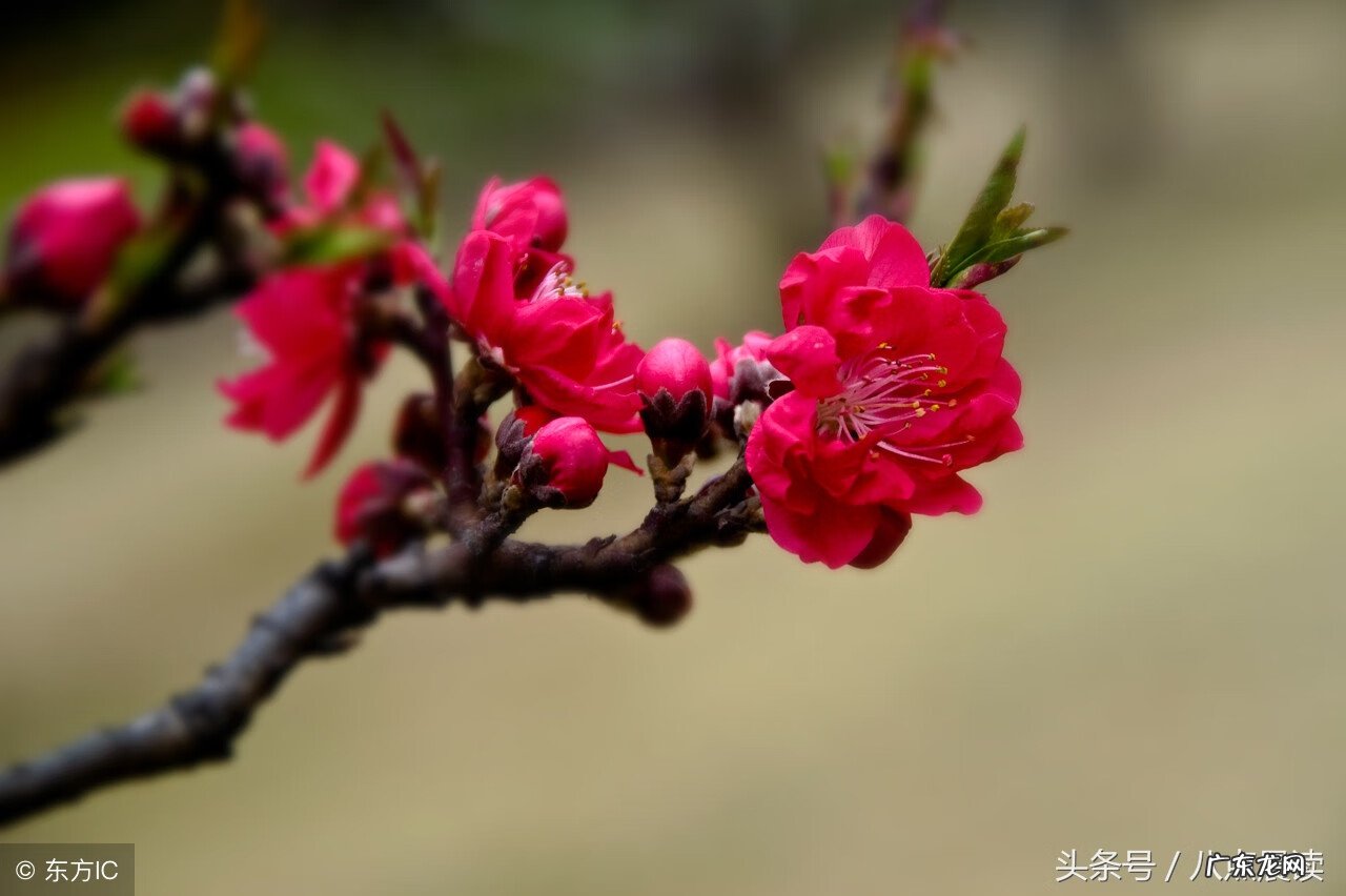 怎么看风水 天中穴风水