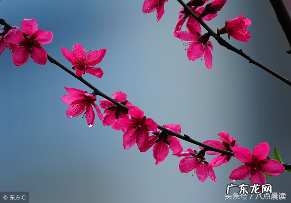 怎么看风水 天中穴风水