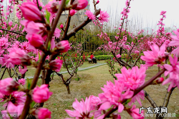 怎么看风水 天中穴风水