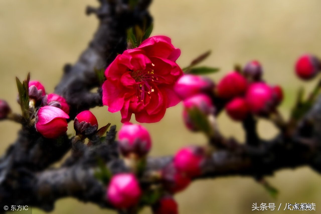 怎么看风水 天中穴风水
