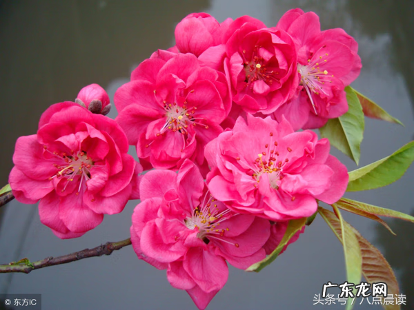 怎么看风水 天中穴风水