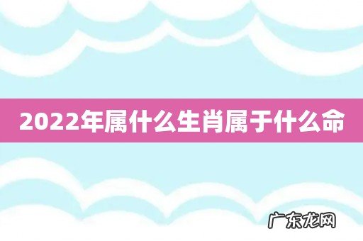 2022年属什么生肖属于什么命