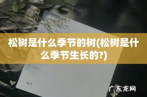 松树是什么季节生长的? 松树是什么季节的树
