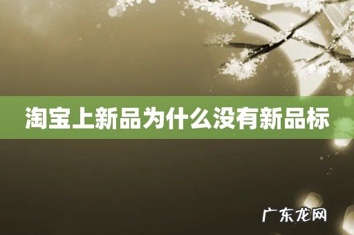 淘宝上新品为什么没有新品标