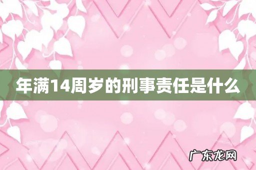 年满14周岁的刑事责任是什么