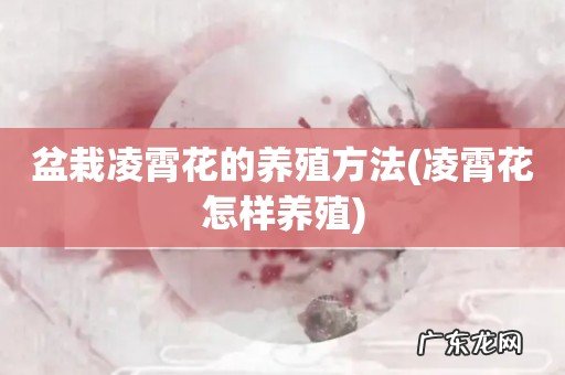 凌霄花怎样养殖 盆栽凌霄花的养殖方法