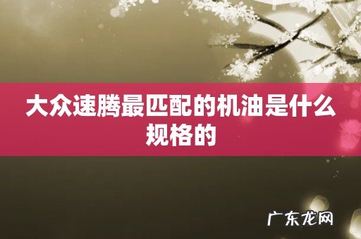 大众速腾最匹配的机油是什么规格的