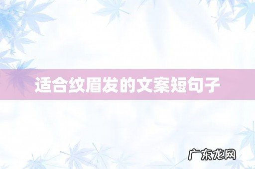 适合纹眉发的文案短句子